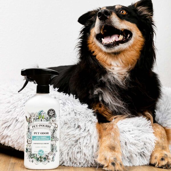 Pet Odor Eliminator, Pet-Pourri - Image 2